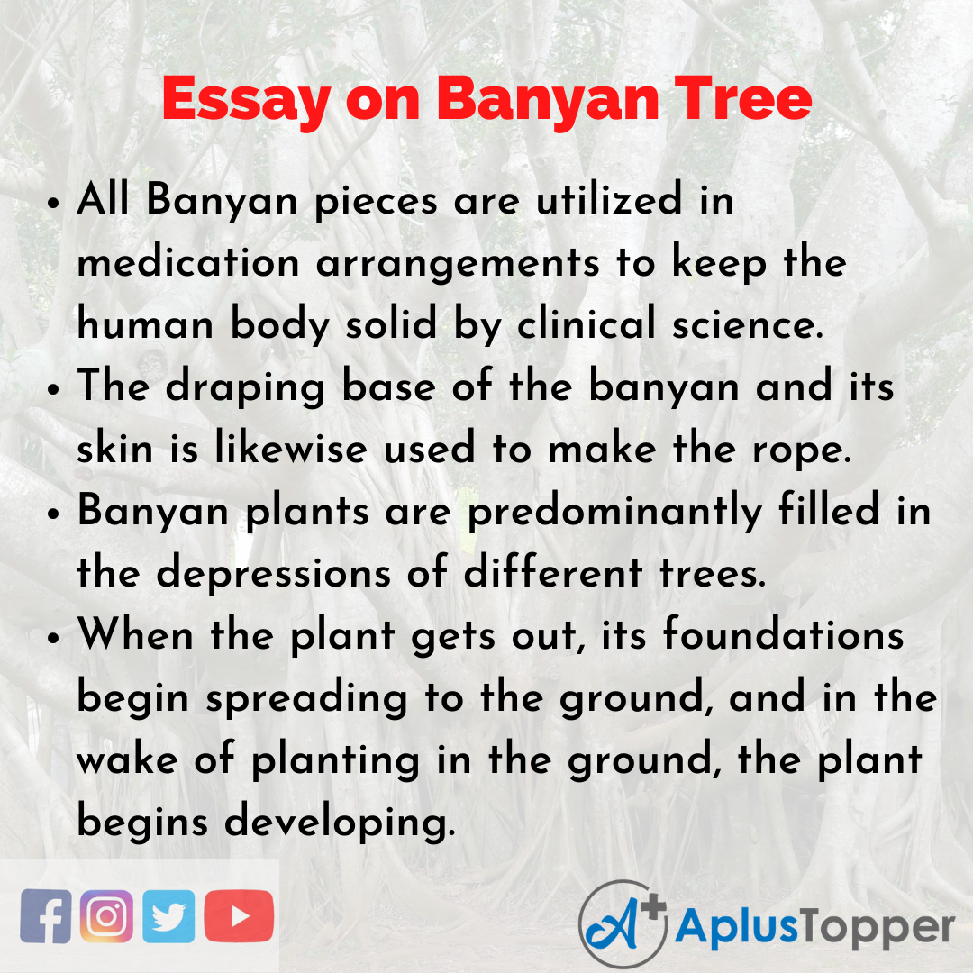 Long Essay on Banyan Tree