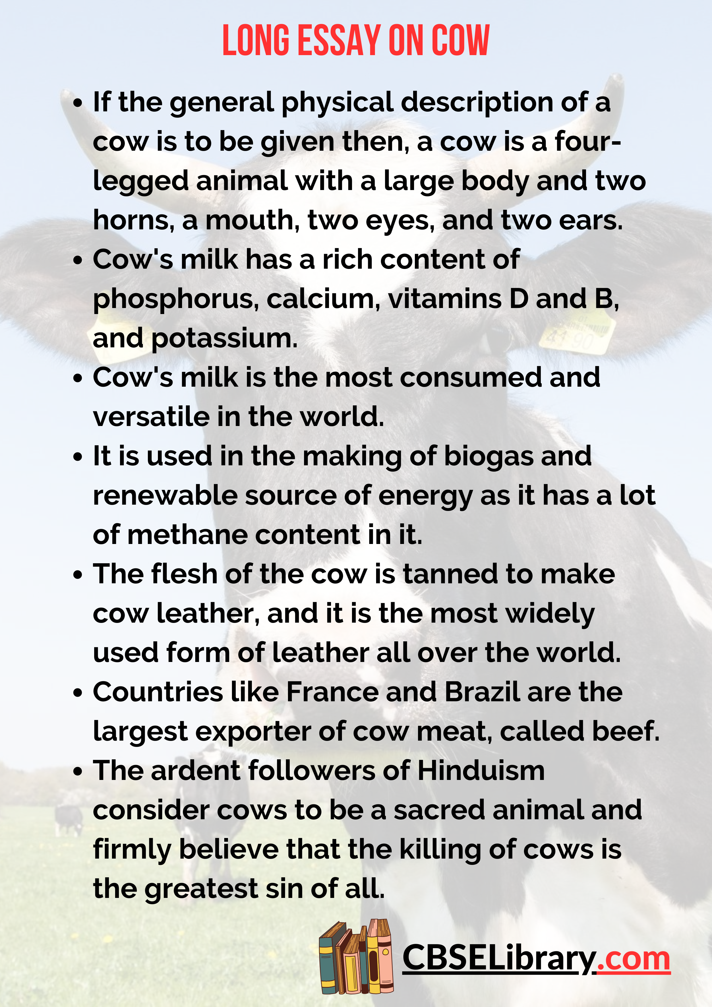 Long Essay on Cow