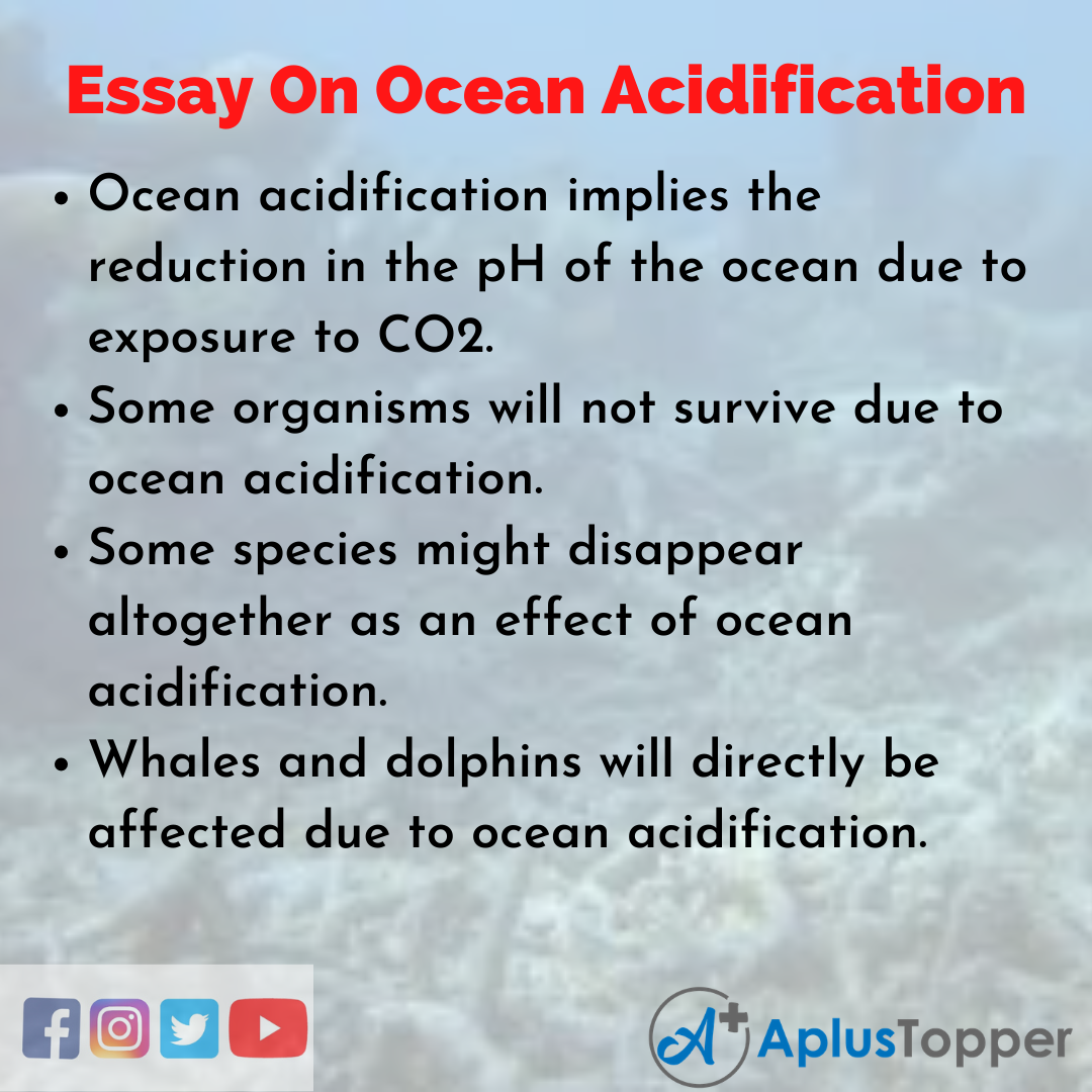 Ocean Acidification Essay