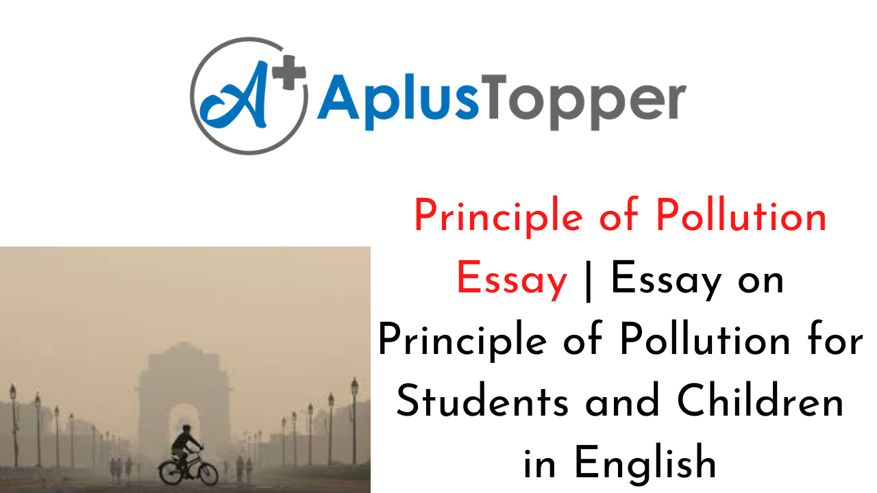 Principle of Pollution Essay