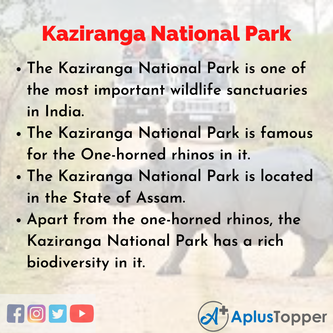 Short Essay on Kaziranga National Park