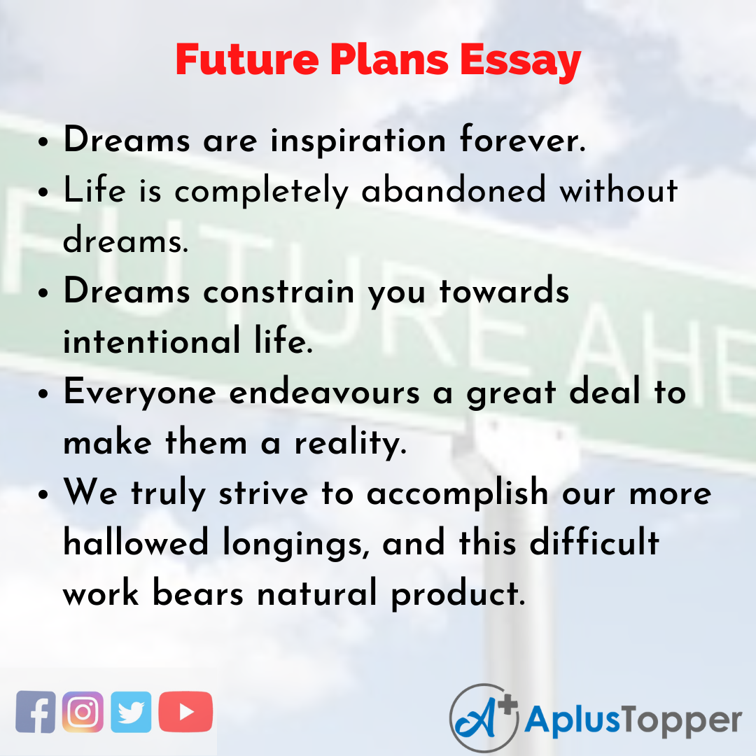 describe your future plans essay