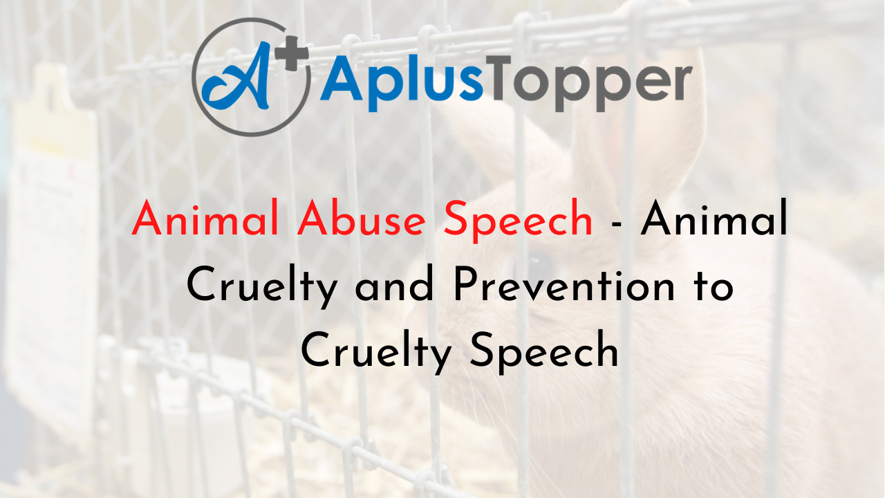 animal abuse awareness speech