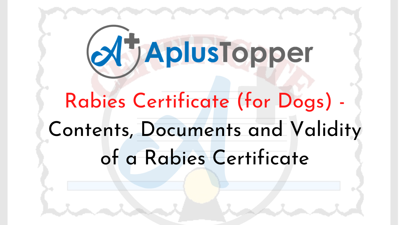 Rabies Certificate