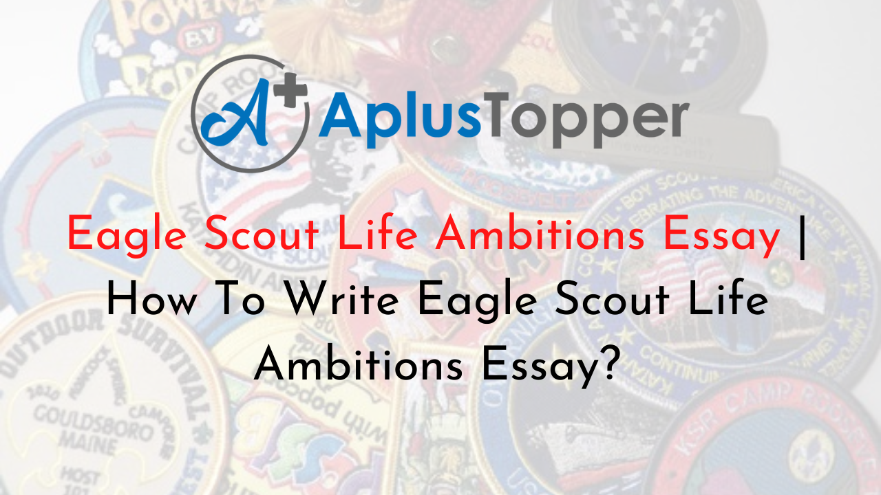 Eagle Scout Life Ambitions
