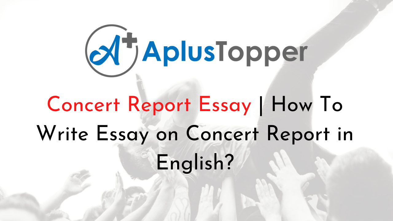 Essay on Concert Report