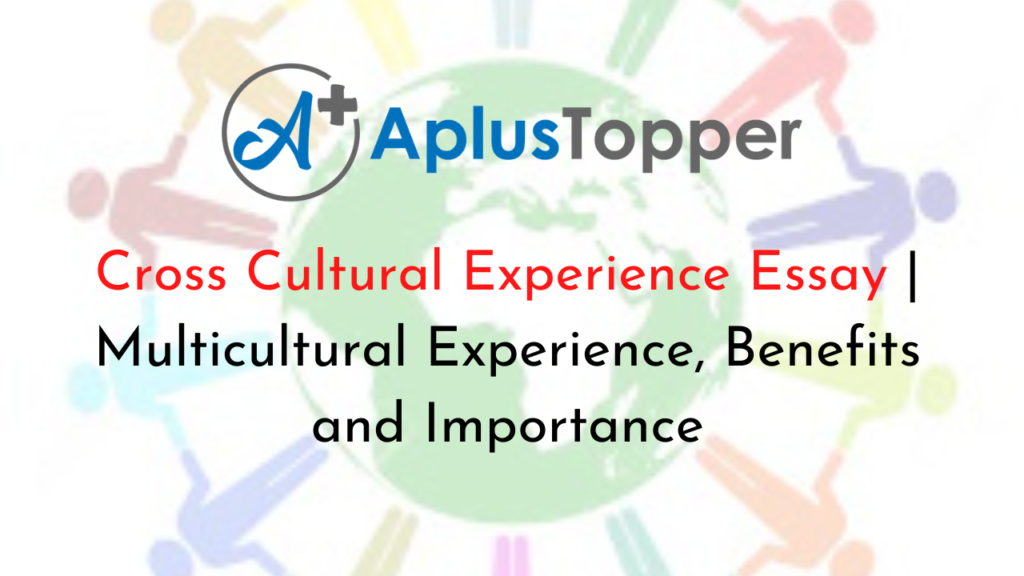 cross cultural experience essay example