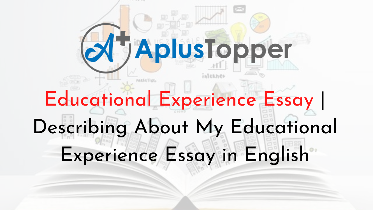 secondary education experience essay