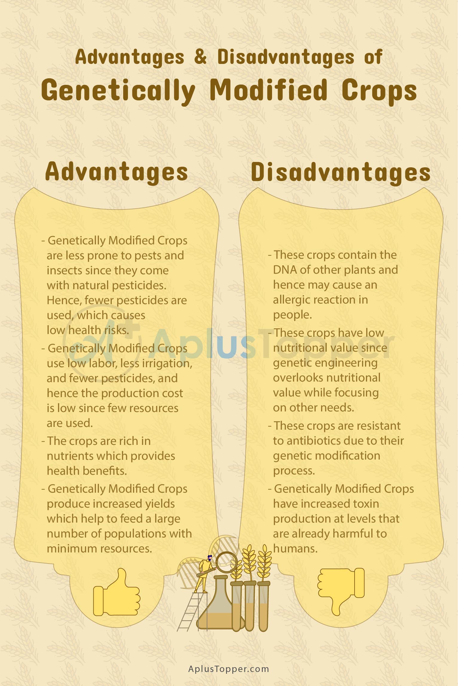 Genetically Modified Crops Advantages and Disadvantages 1