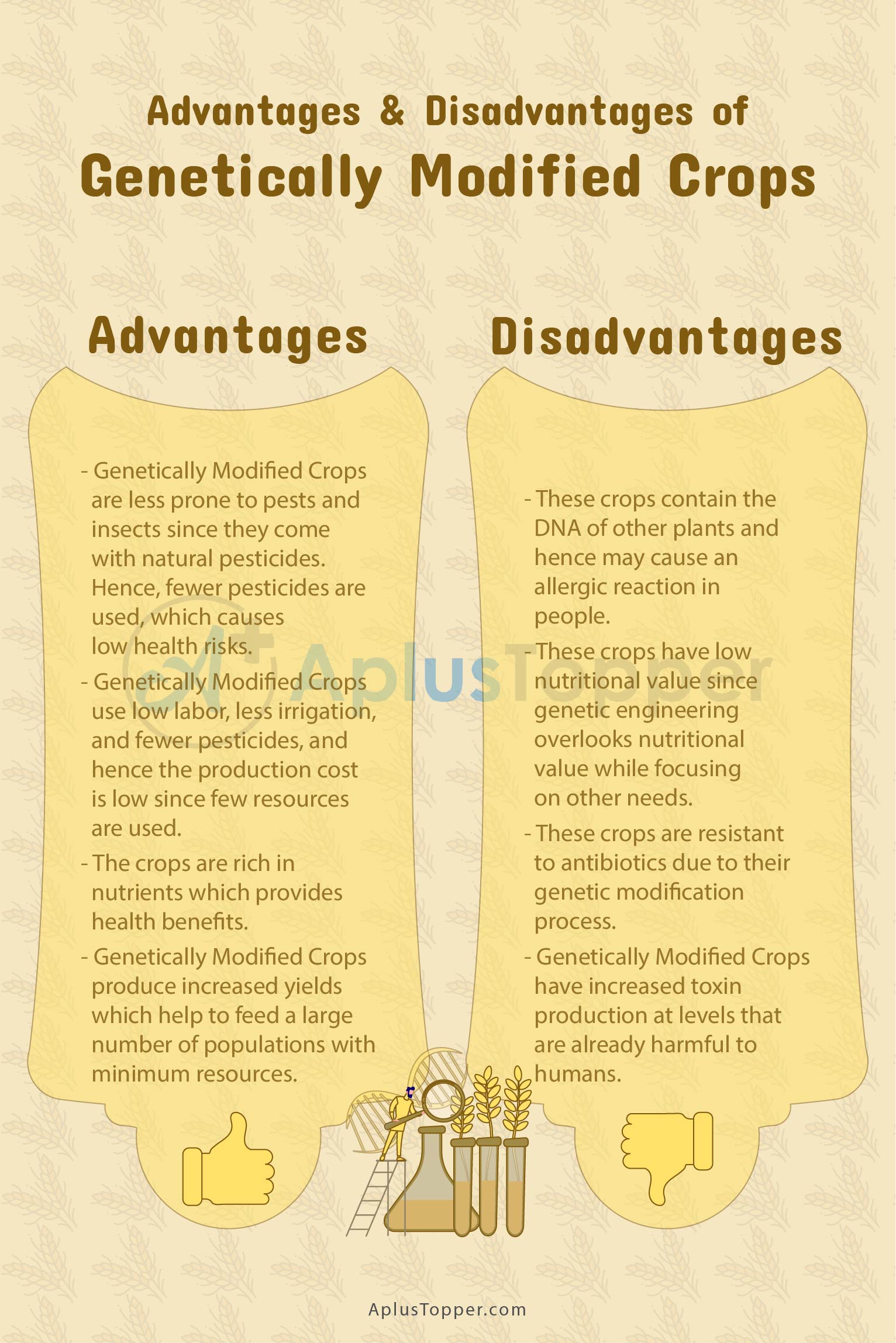 essay about advantages and disadvantages of genetically modified food