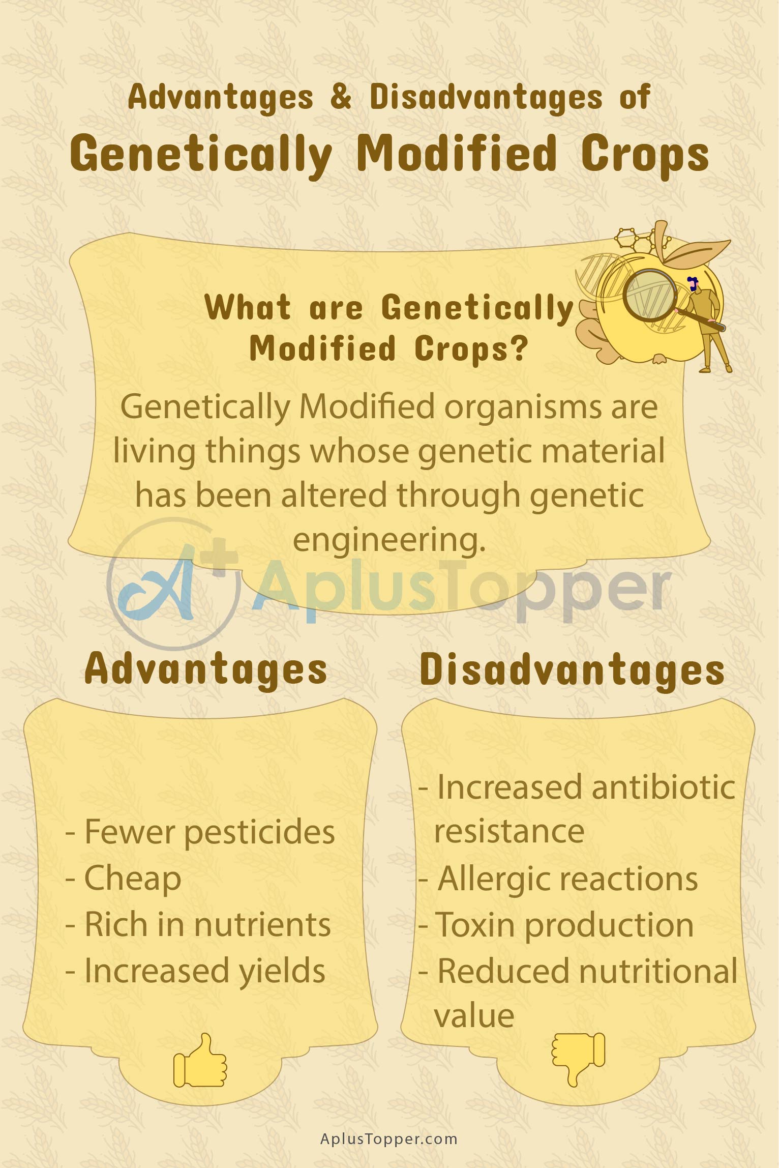 advantages and disadvantages of genetically modified food essay