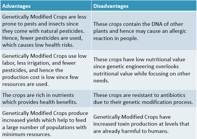 Genetically Modified Crops DisAdvantages
