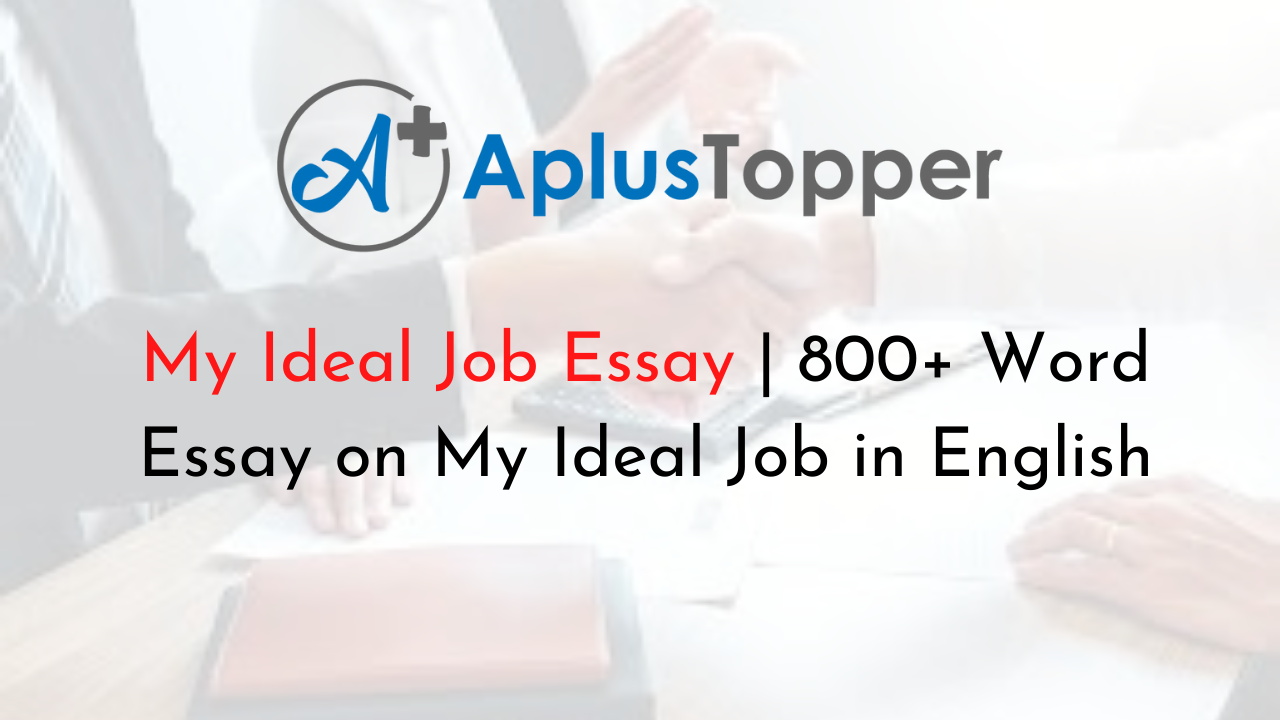 essay a job you would like to do