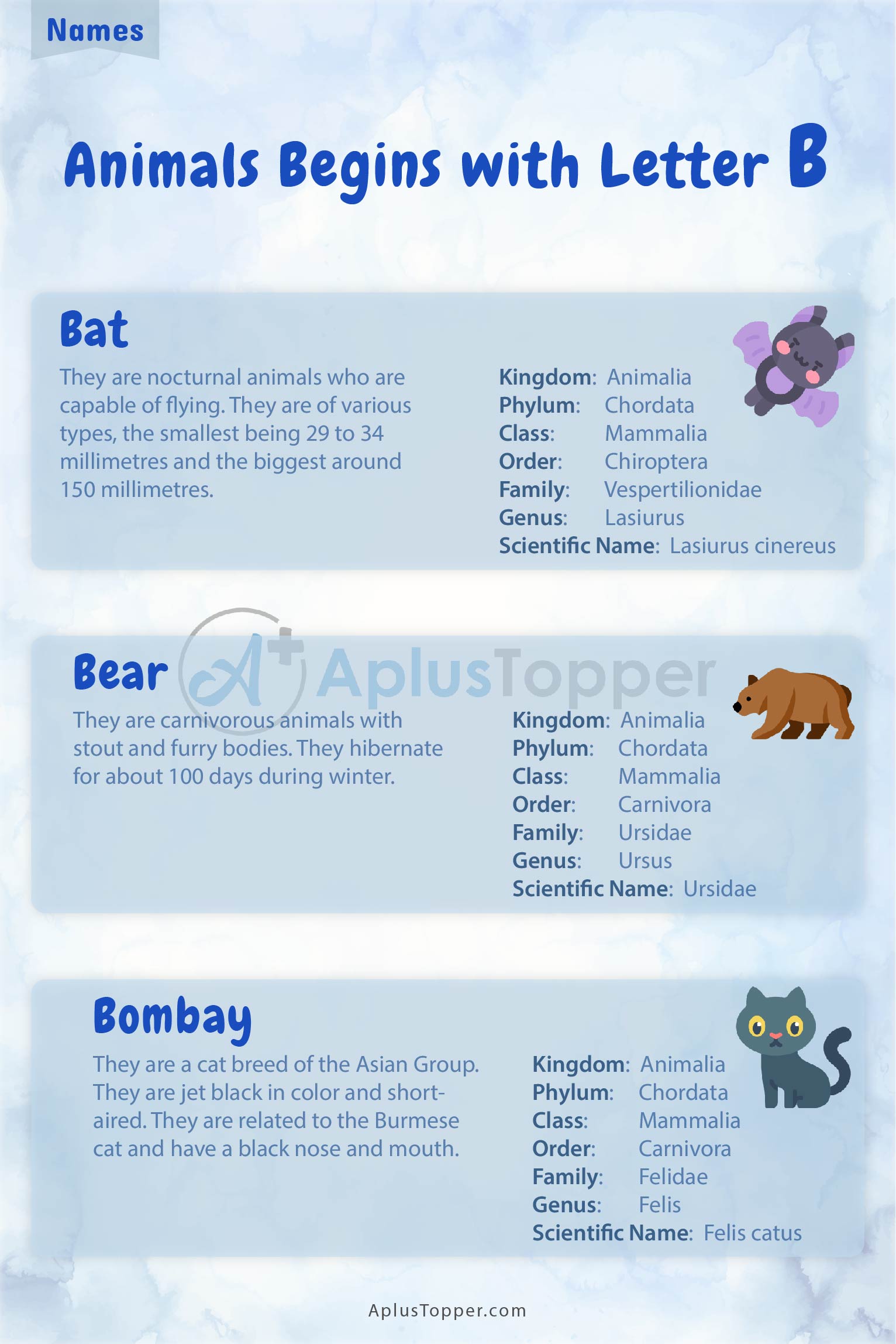 Animals that Start with B 1