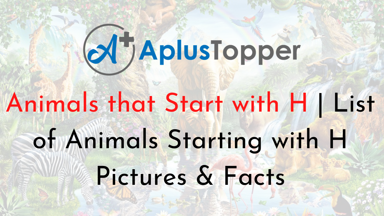 Animals that Start with H