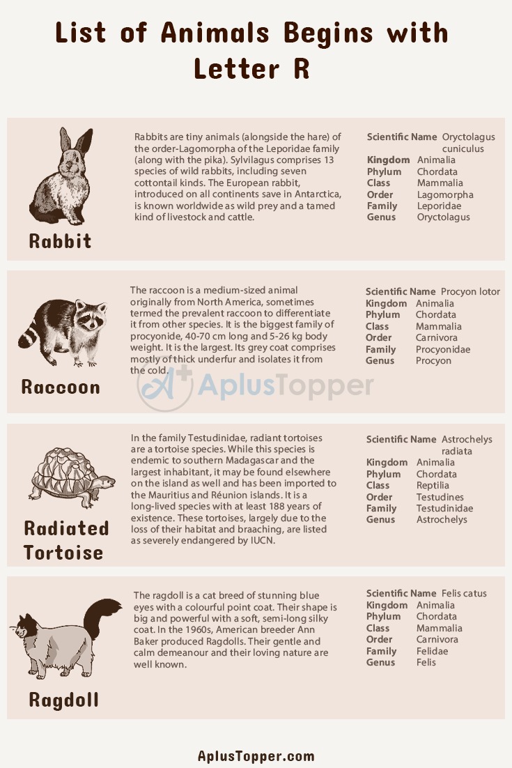 Animals that Start with R 2