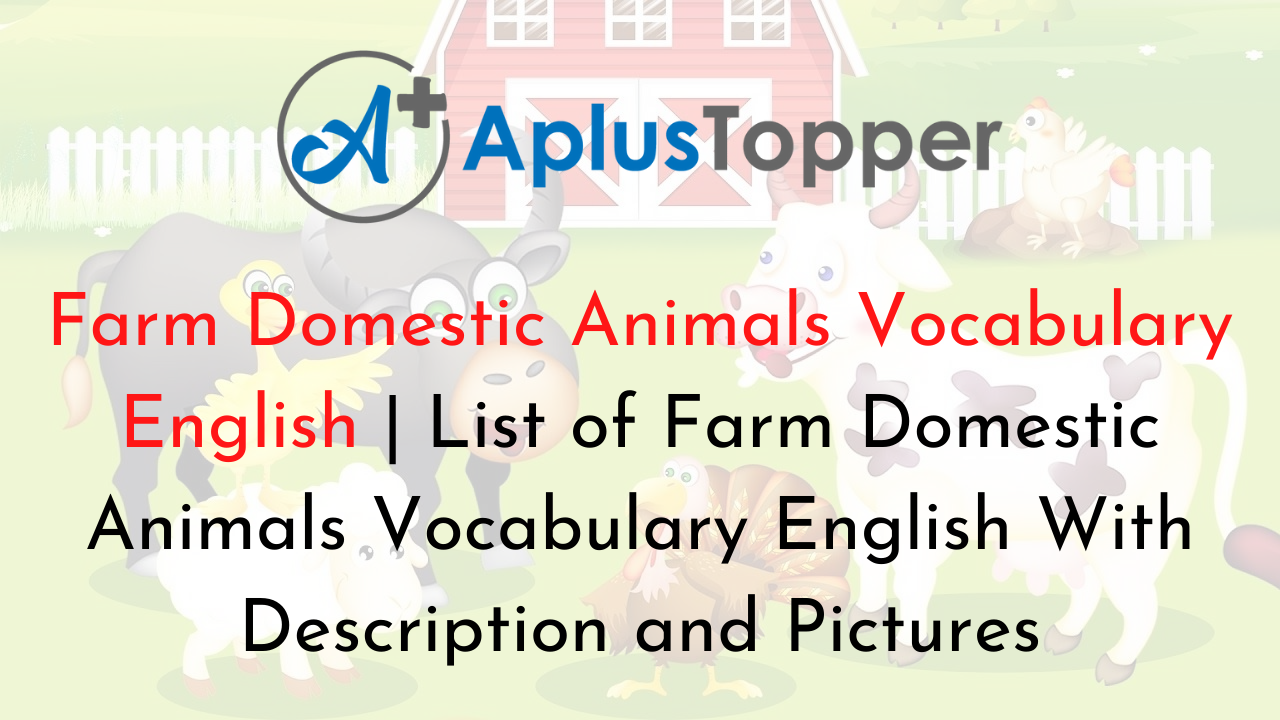 Farm Domestic Animals Vocabulary English