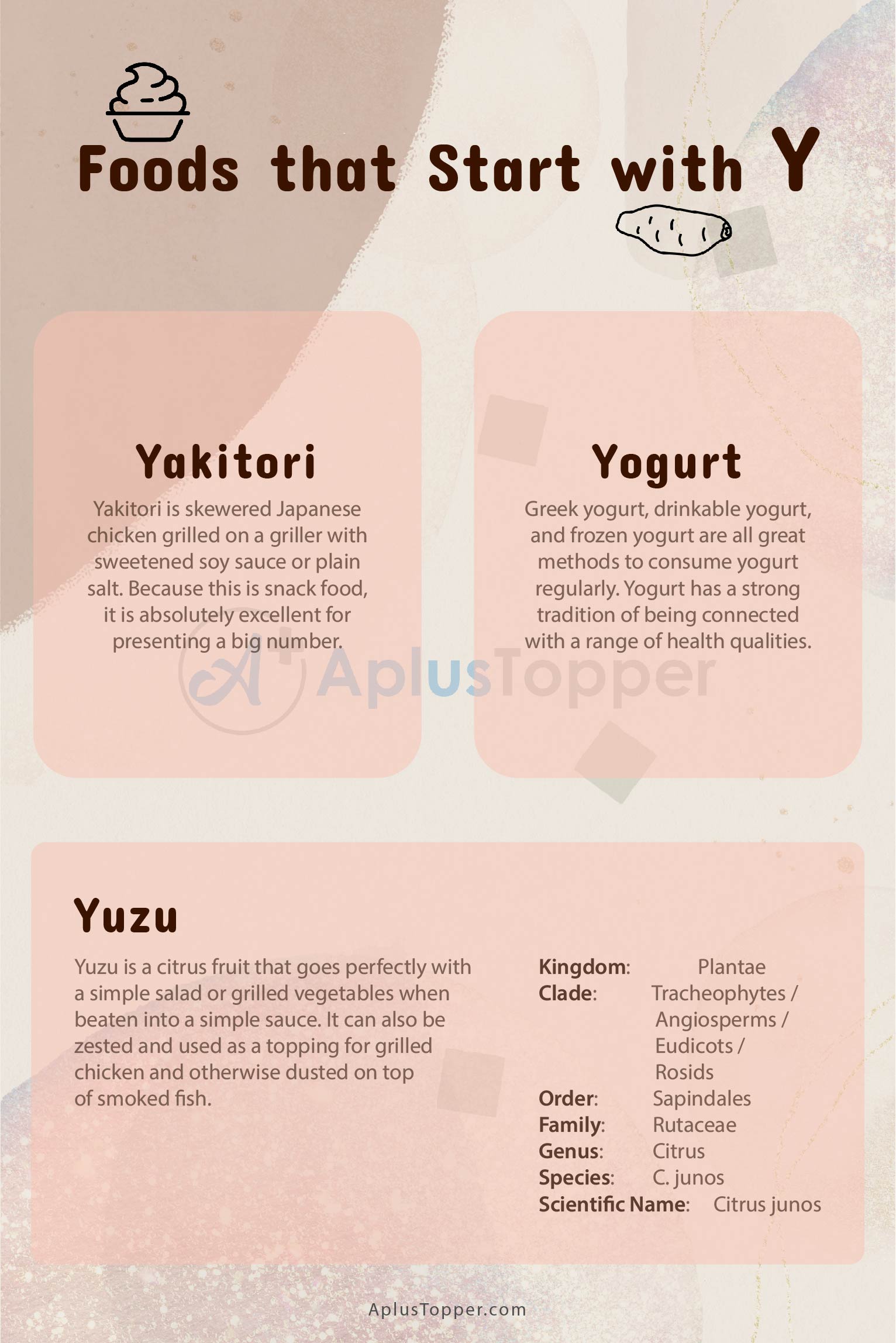 Foods that Start with Y 2