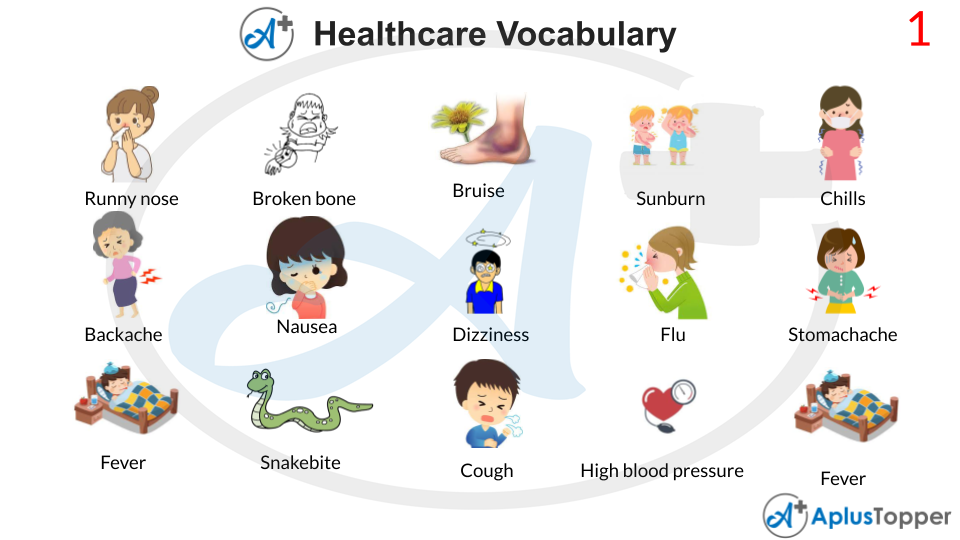 Healthcare Vocabulary