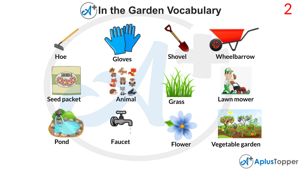 In The Garden Vocabulary With Images