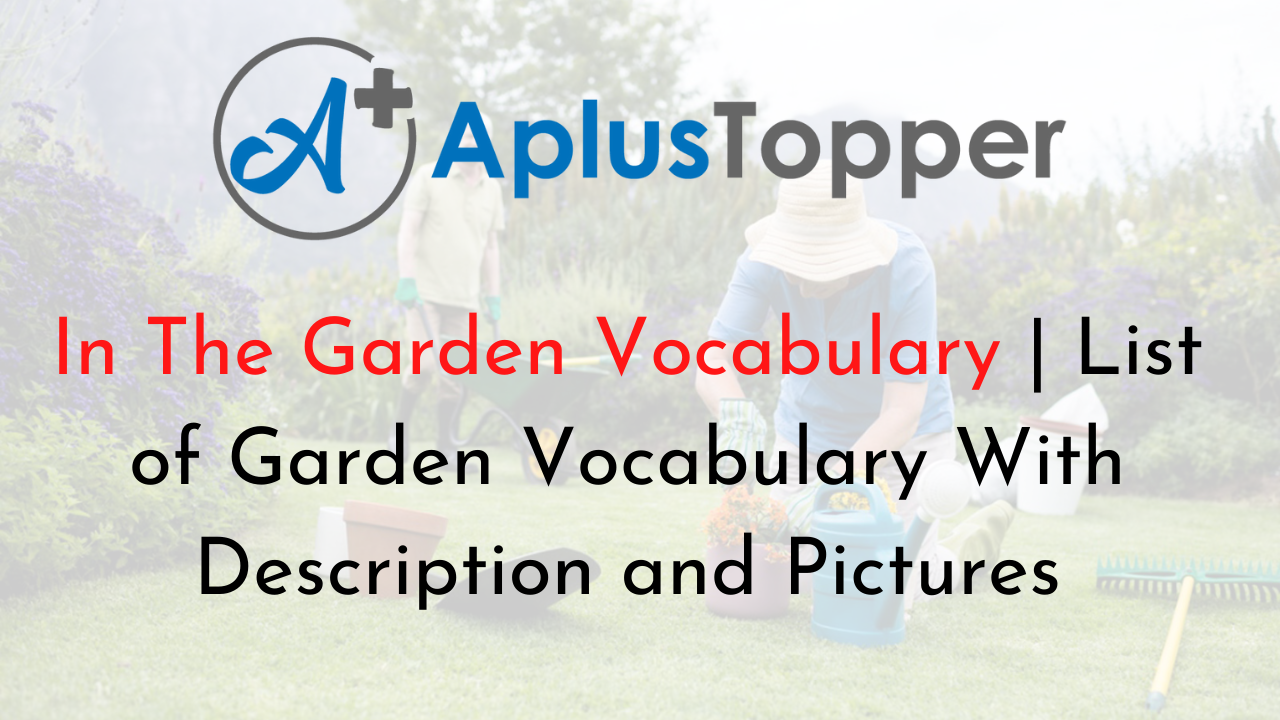 In The Garden Vocabulary
