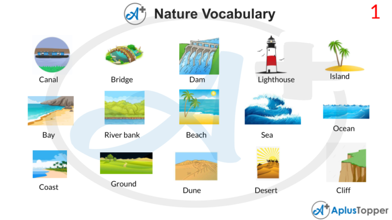 Nature Vocabulary | List of Nature Vocabulary With Description and ...