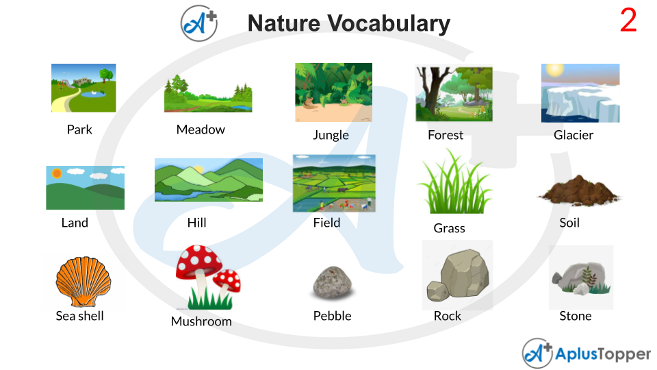 Nature Vocabulary With Images