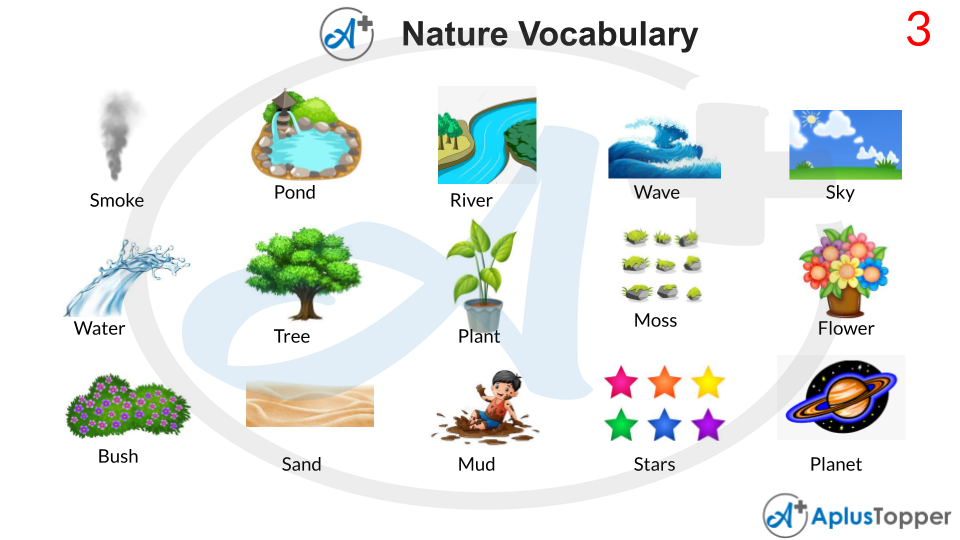 Nature Vocabulary With Pictures