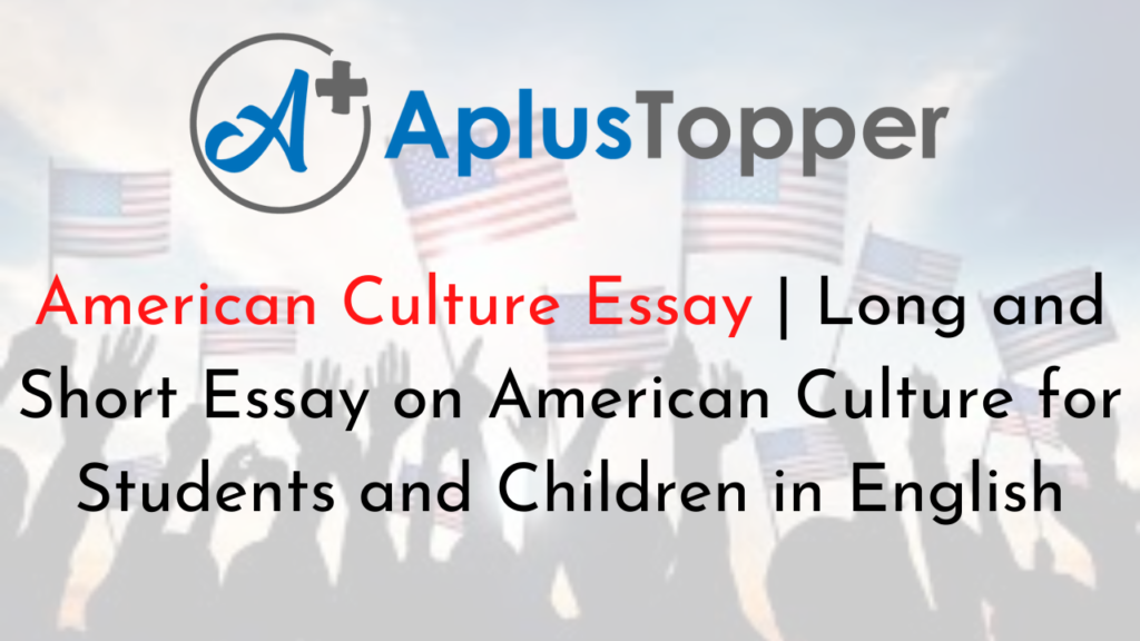 essay on american culture