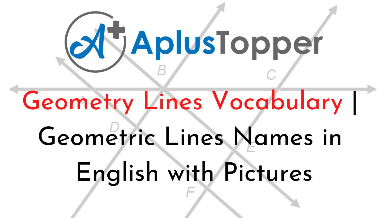 Geometry Lines Vocabulary