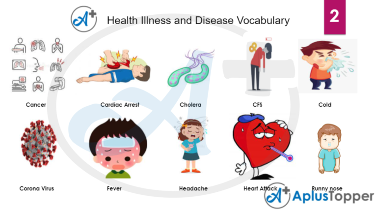 Illness and Diseases Vocabulary | List of Common Health Problems and ...