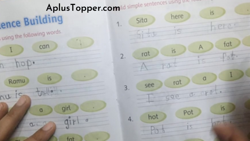 Jumbled Sentences | Rearrangement, Rules And Examples - CBSE Library