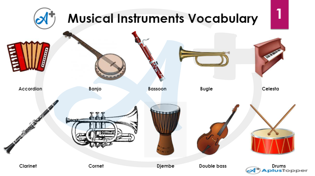 Musical Instruments Vocabulary 1