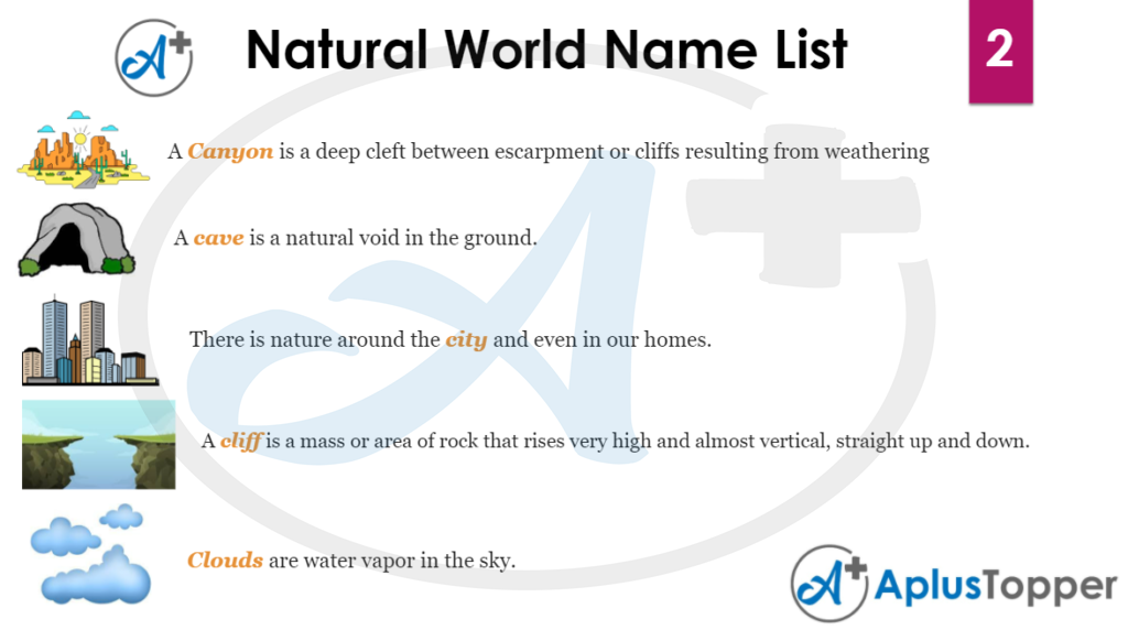 Natural World Name List 2