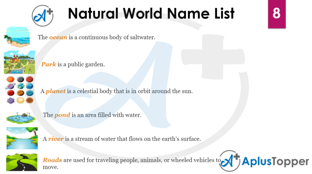 Natural World Name List 8