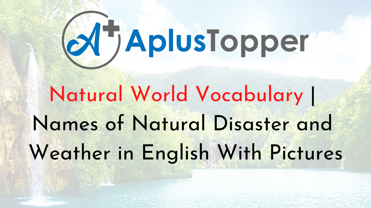 Natural World Vocabulary