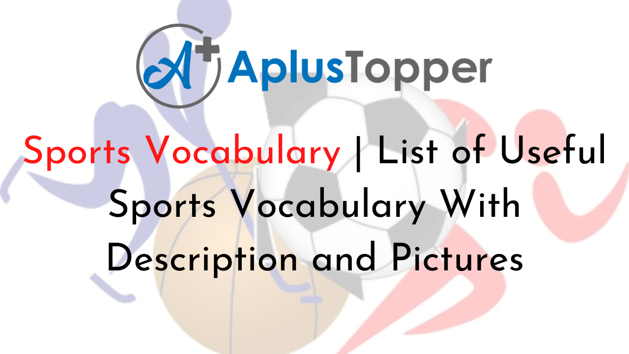 Sports Vocabulary English