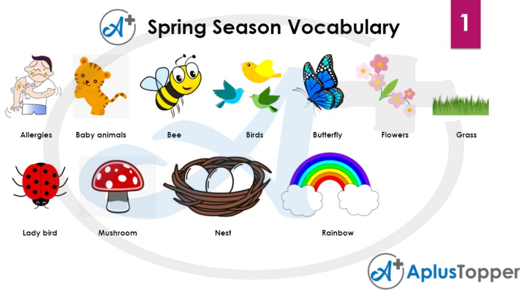 Spring Season Vocabulary 1