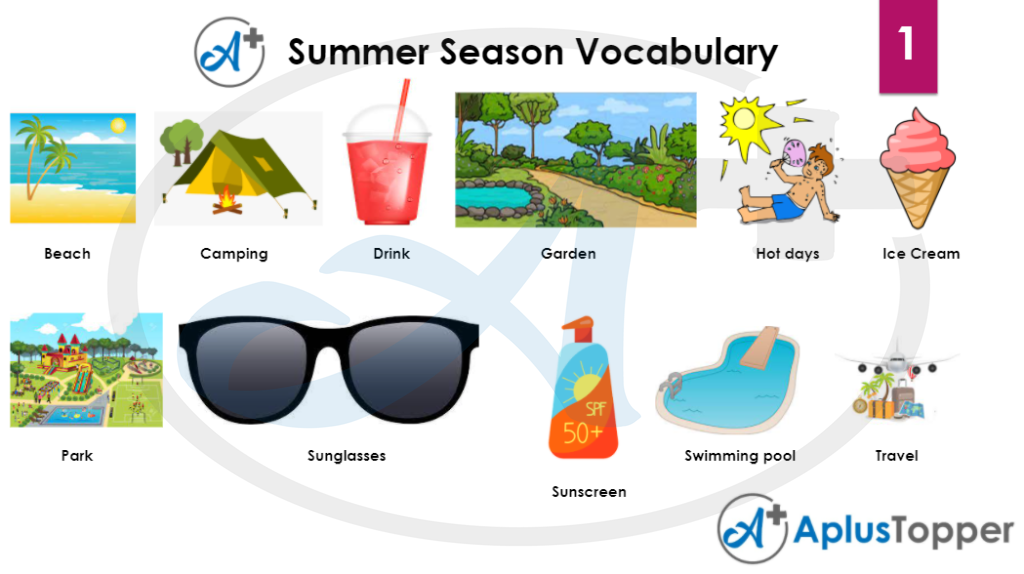 Summer Season Vocabulary