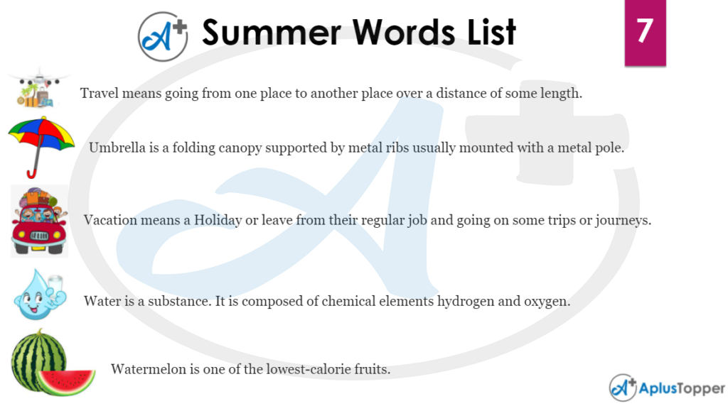 Summer Word List 7