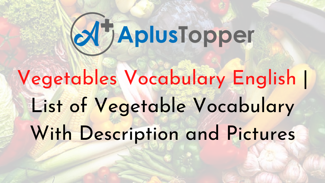 Vegetables Vocabulary English