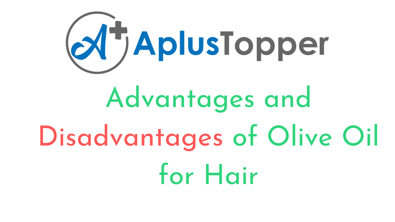 Advantages And Disadvantages Of Olive Oil for Hair