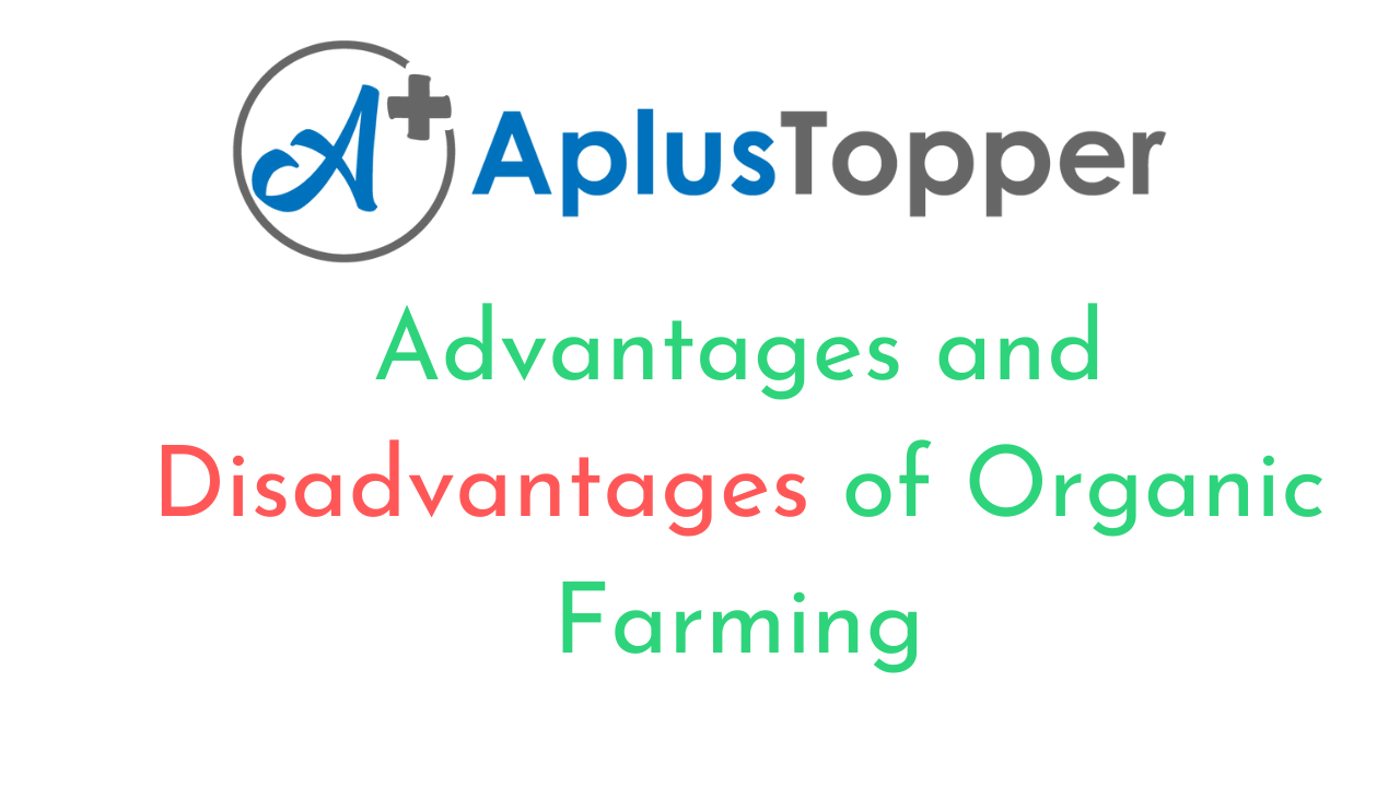 Advantages And Disadvantages Of Organic Farming