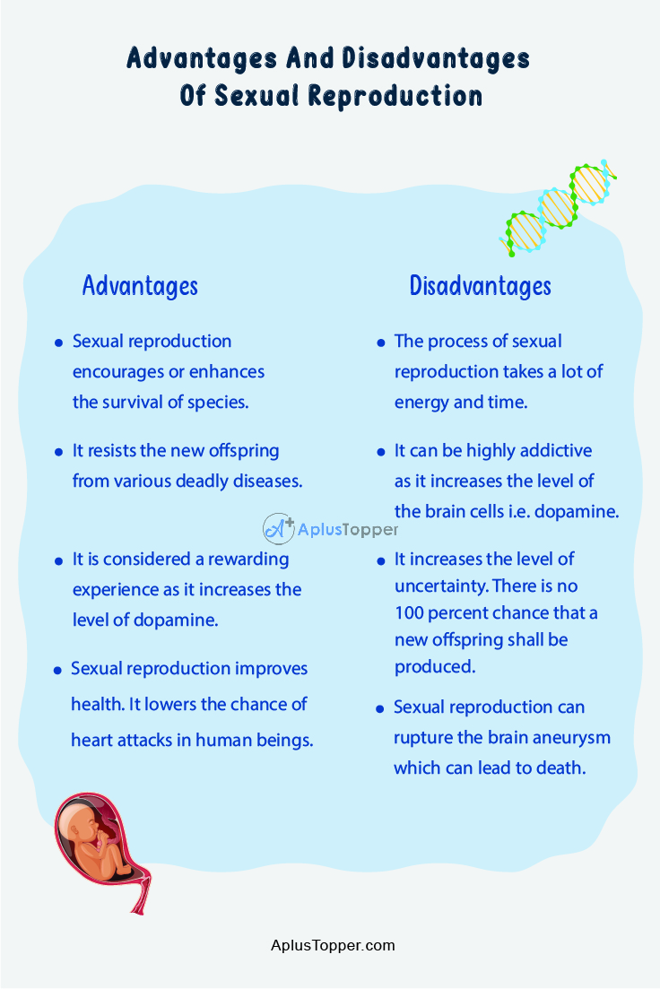 Advantages And Disadvantages Of Sexual Reproduction 2