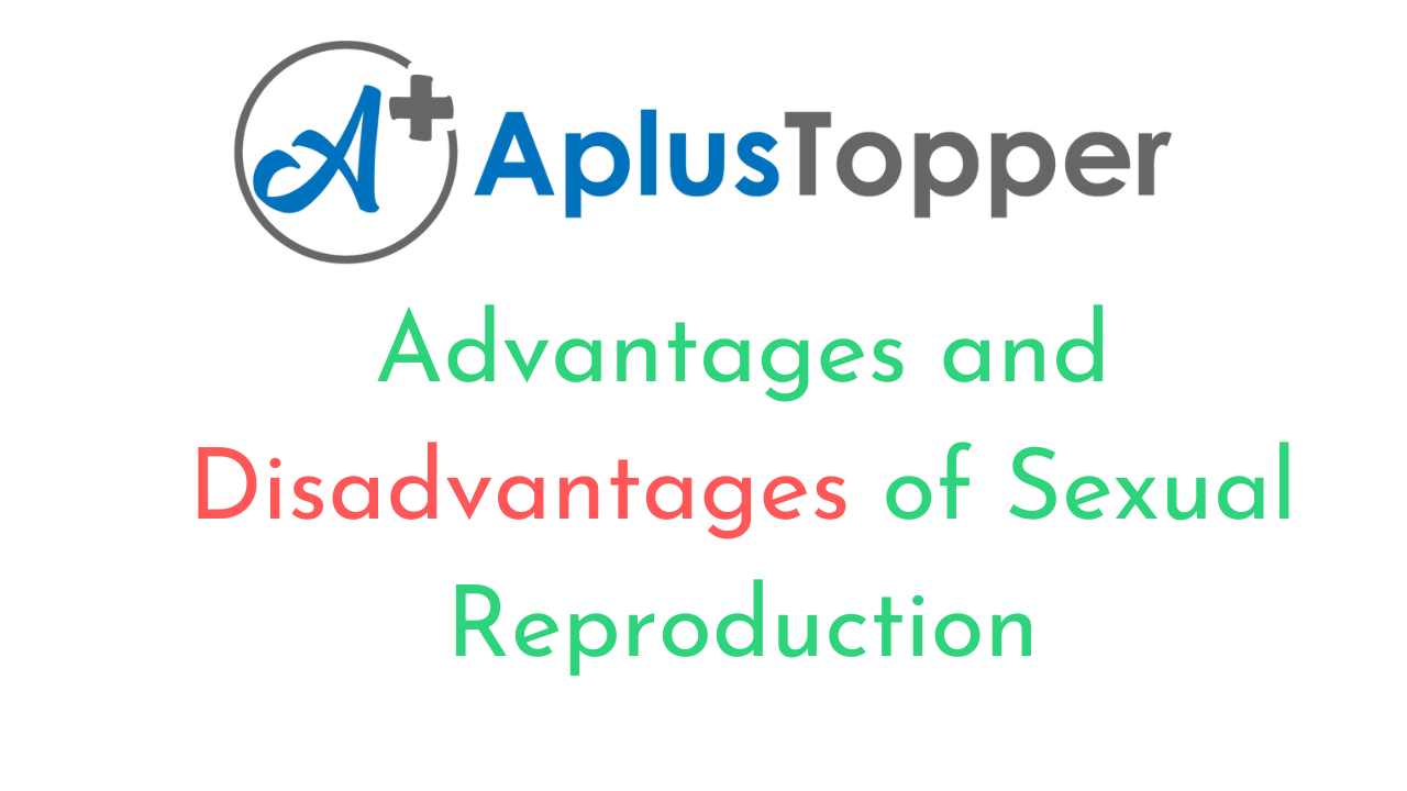 Advantages And Disadvantages Of Sexual Reproduction