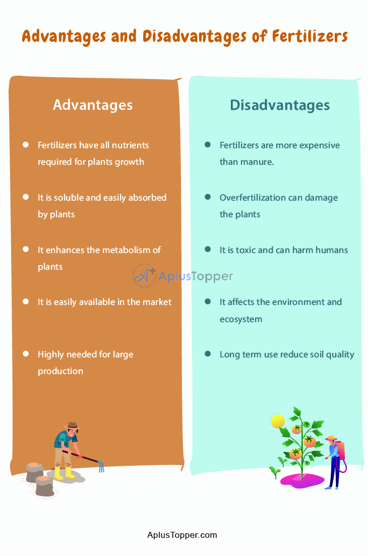 Advantages and Disadvantages of Fertilizers 1