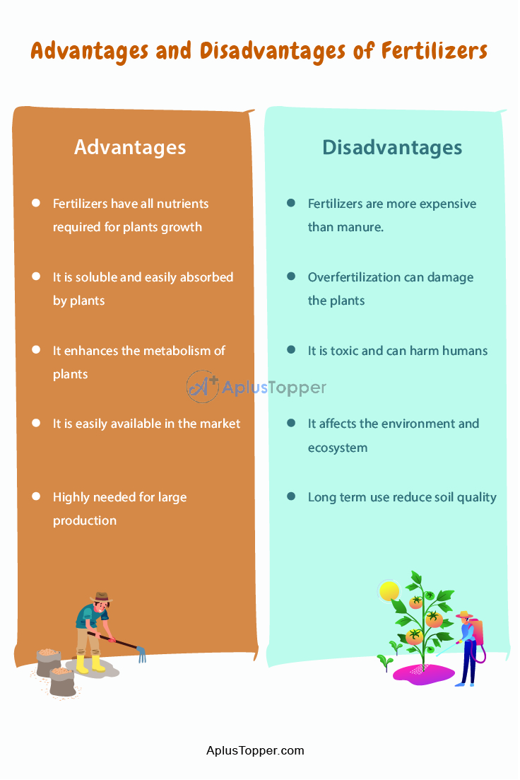 Advantages and Disadvantages of Fertilizers | What are Fertilizers ...