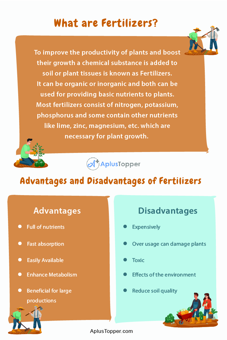 Advantages and Disadvantages of Fertilizers What are Fertilizers