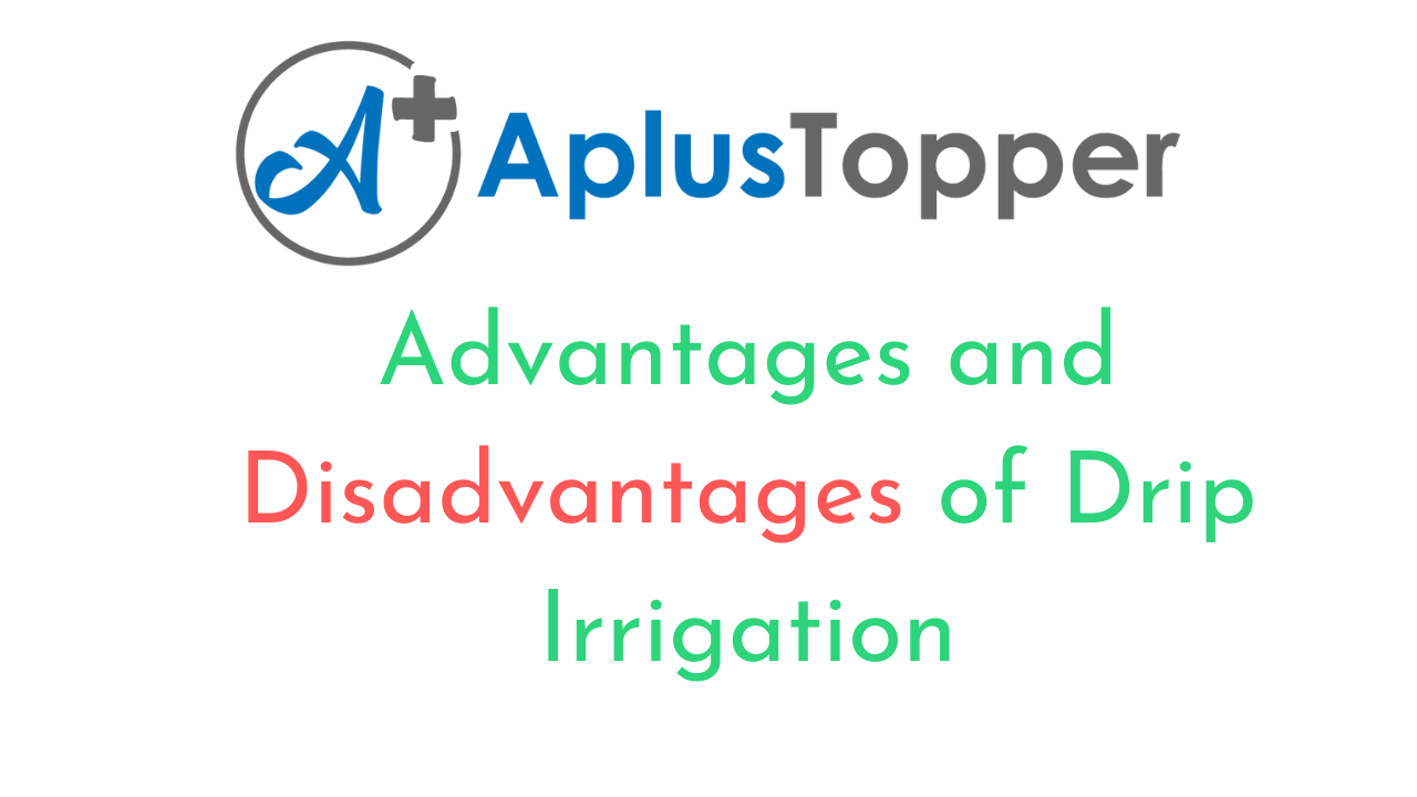 Drip Irrigation Advantages And Disadvantages