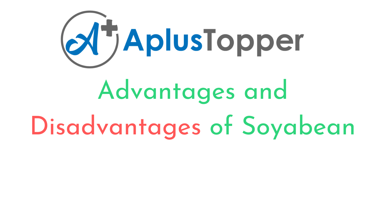 Soybean Advantages And Disadvantages